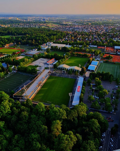 动员而言 动员而言