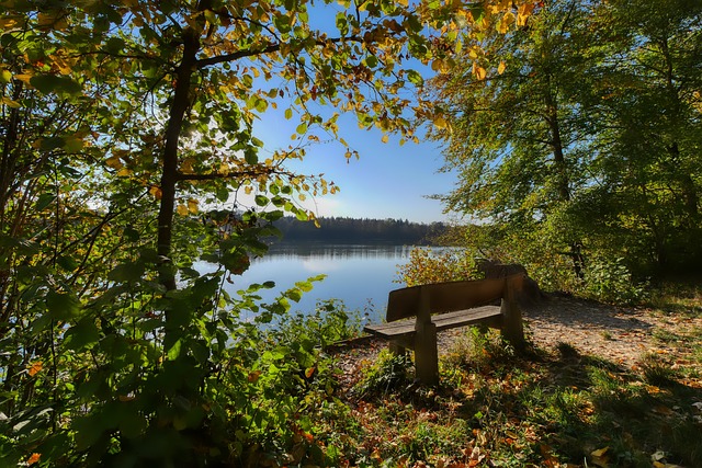 优先选择国 优先选择国