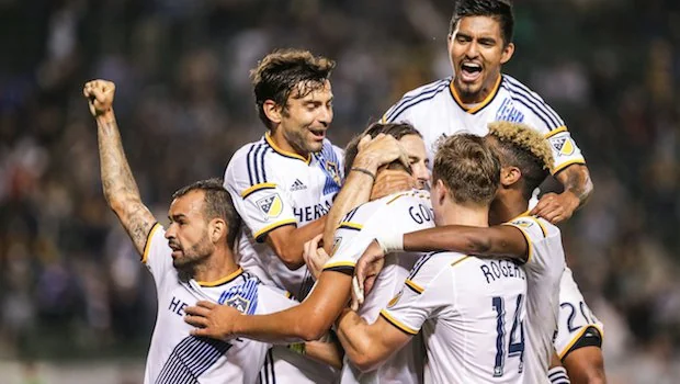 表现表明 表现表明