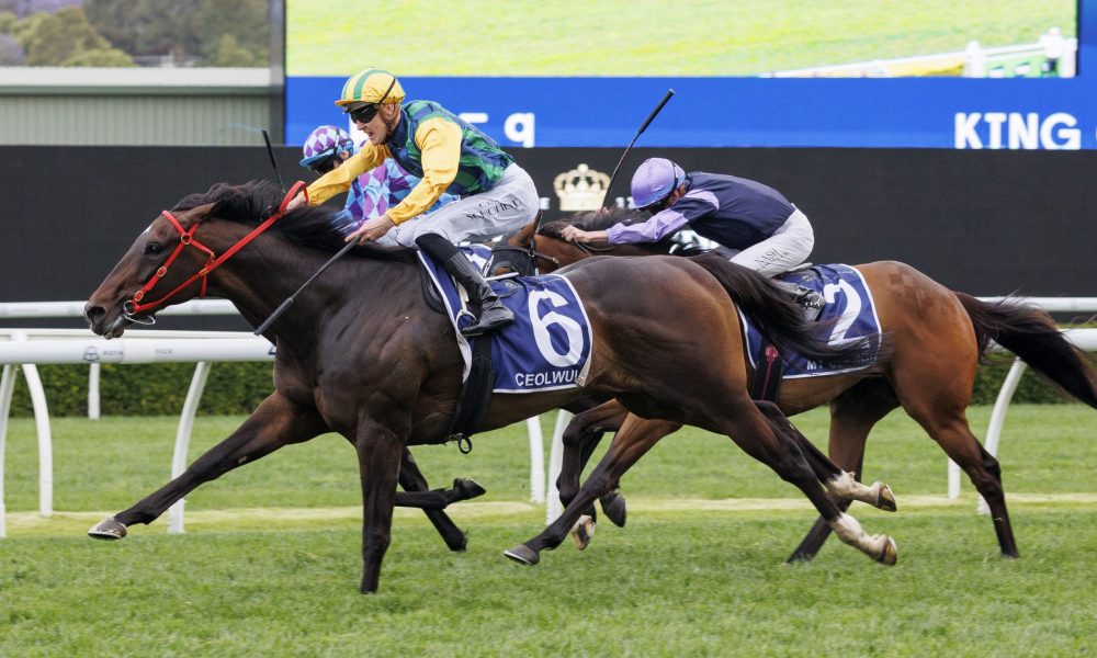 球员举报湖 球员举报湖